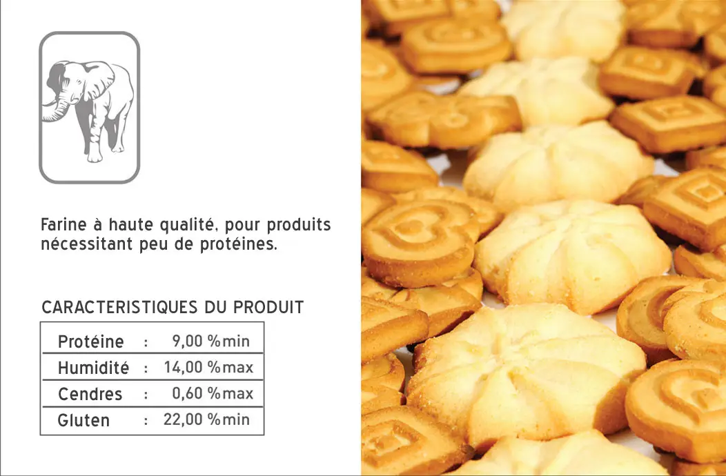 Farine de Blé pour Biscuits