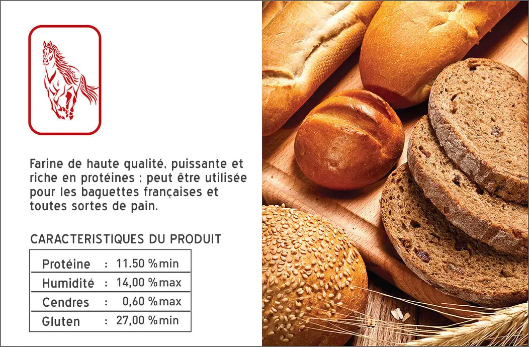 Farine de Blé pour Pain