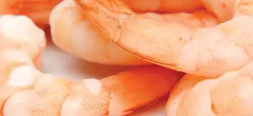Wheat Flour for Industrial Purposes and Shrimps