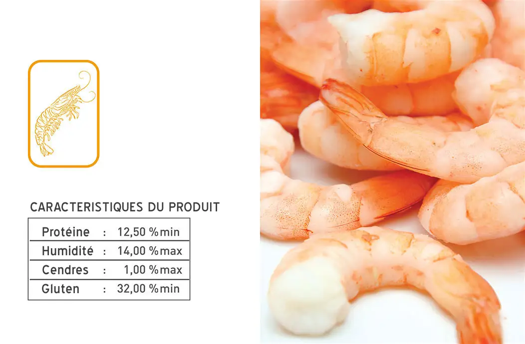 Farine de Blé Industrielle et pour les Crevettes
